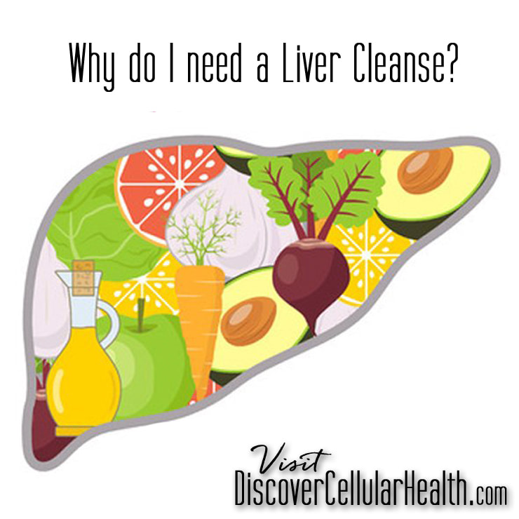 One of the liver and kidneys responsibilities is to rid the body of all the toxins. These organs can only function properly when they are kept clean and provided with essential nutrients. Our gentle Liver & Kidney Cleanse does just that. Learn more at DiscoverCellularHealth.com