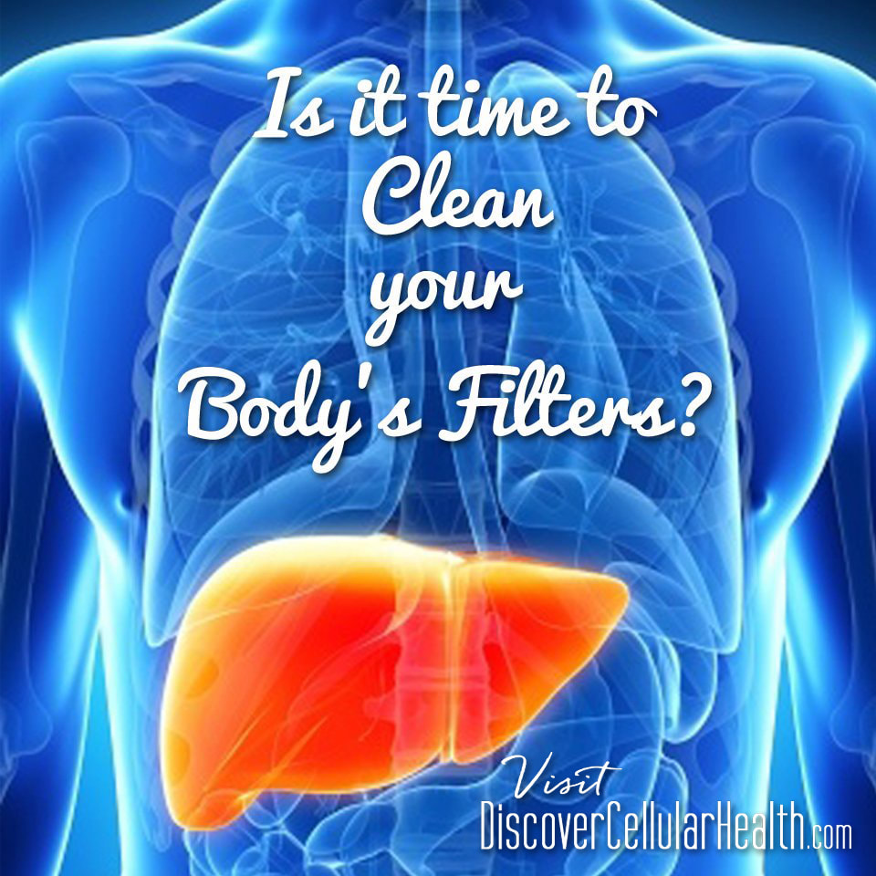 Liver & Kidney Cleanse available at DiscoverCellularHealth.com