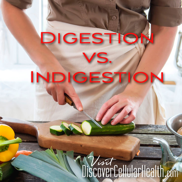 Digestion vs Indigestion:  You are what you eat is a common phrase we hear. Have you heard that it’s not what you ingest that is important but what you digest that matters most? Learn more at DiscoverCellularHealth.com