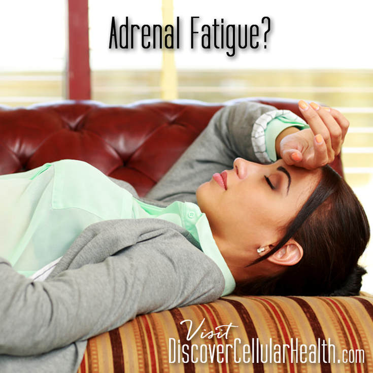 Adrenal Balance by XR Nutrition available at DiscoverCellularHealth.com