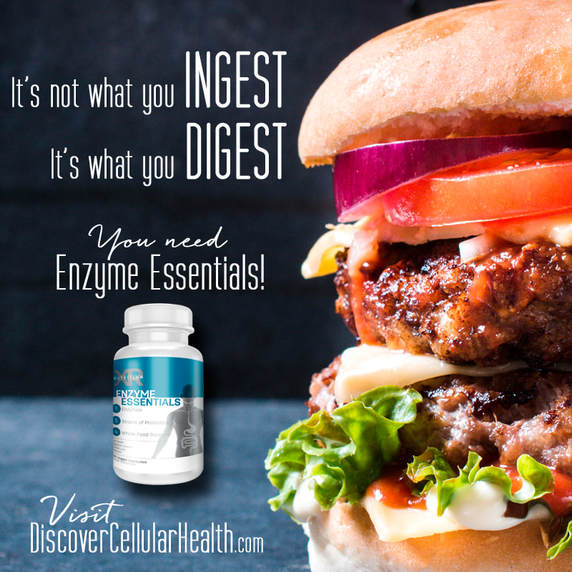 Wouldn’t it be great to eat a meal and NOT be gassy or bloated or suffer from heartburn afterwards? It's not what you INGEST, it's what you DIGEST. Try Enzyme Essentials by XR Nutrition available at DiscoverCellularHealth.com today and say goodbye to indigestion, heartburn, acid reflux and more.